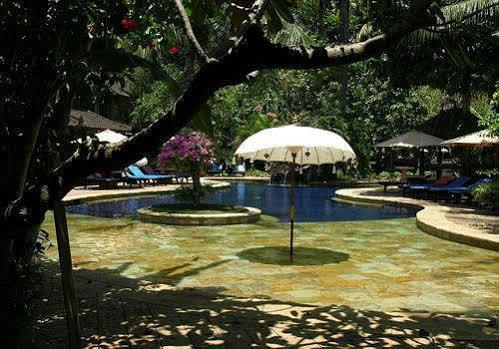 Rambutan Boutique Hotel ロヴィーナ エクステリア 写真